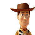 HOWDY emote
