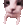 catKiss
