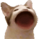 Bwop