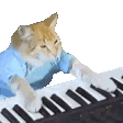 keyboardCat emote