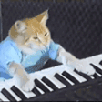 CatPiano emote