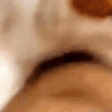 CATNOM emote