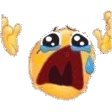 NOOOO emote