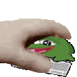 PETTHECHAT emote