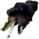 daphYionpoof