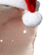catJAM emote
