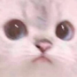 susCat emote