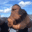 YESSIR emote