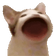 CatPlop