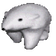 PolarStrut