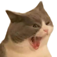 catREE emote