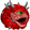 cacoPog