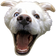DogChamp