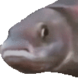 fishJAM emote