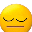 PretendIDoNotSeeIt emote