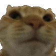 NoNo emote