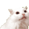 MYAAA emote