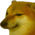 BONK emote
