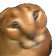 FLOPPAS