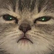 angryCAT emote