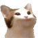 popCat