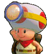 ToadCheck