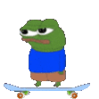 ApuSkate emote