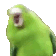 BirbWobble at 2x