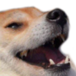 kekDog emote