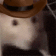 ratJAM - 56x56