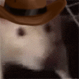ratJAM emote