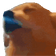 dogJam