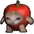 Applecatspin emote
