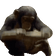 MODS