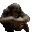 MODS emote