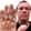 arnoldHalt