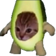 Avocato emote