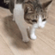 BRUHFAINT emote