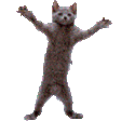 MOMICHI emote
