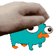 PETTHEPERRY emote