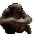 Monke emote