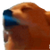 dogJAM