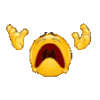 NOOo emote