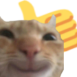 thumbsUp emote