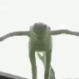 KermitJump emote