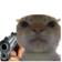 CatGun