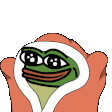 BLANKIES emote