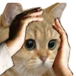 Ohno emote