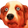 SquanderDog