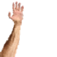 HandUpRight emote